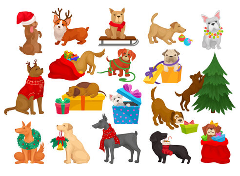 Domestic Dog Pet with Traditional Christmas Eve Gifts and Symbols Big Vector Set
