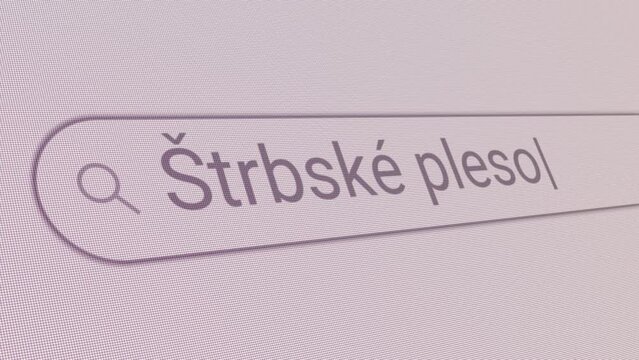 Search Bar Strbske pleso 
Close Up Single Line Typing Text Box Layout Web Database Browser Engine Concept
