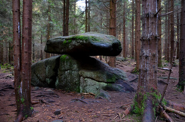 stone boulder a flat and wobbly remnant of glacial processes in a spruce forest. the wobbly stone resembles a dolmen or menhir in a horizontal position. the oldest natural swing
