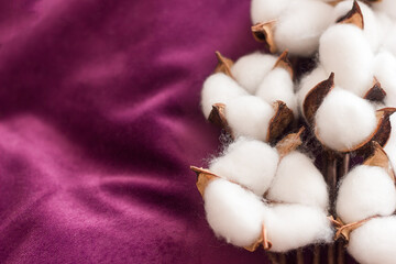 A branch of dry blooming cotton on a soft beautiful burgundy fabric, production from natural organic materials, copy space for text