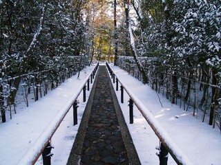 京都　大徳寺高桐院の雪景色