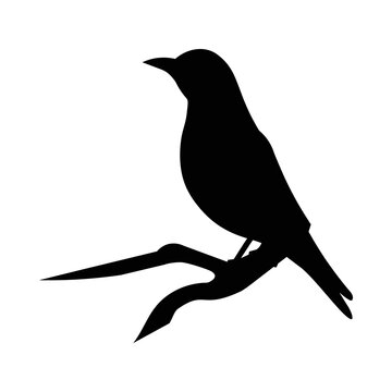 recommend clip art: ilhouette of a golden oriole bird standing on a branch and singing