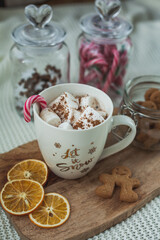 Hot cup of cocoa with marshmallows and gingerbread cookies. Christmas eco decorations. New Year. Winter holidays, gifts.