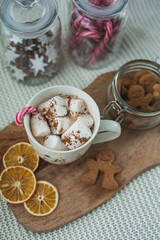 Fototapeta na wymiar Hot cup of cocoa with marshmallows and gingerbread cookies. Christmas eco decorations. New Year. Winter holidays, gifts.