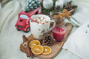 Hot cup of cocoa with marshmallows and gingerbread cookies. Christmas eco decorations. New Year. Winter holidays, gifts.