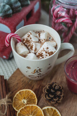 Obraz na płótnie Canvas Hot cup of cocoa with marshmallows and gingerbread cookies. Christmas eco decorations. New Year. Winter holidays, gifts.