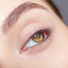 Closeup macro shot of human female eye with nude makeup.