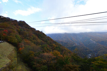 明智平から臨む日光の紅葉