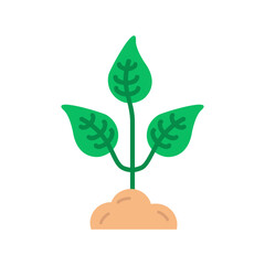 Plant Icon