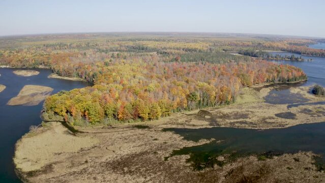 Au Sable River in Michigan during fall colors with drone video moving forward medium shot.