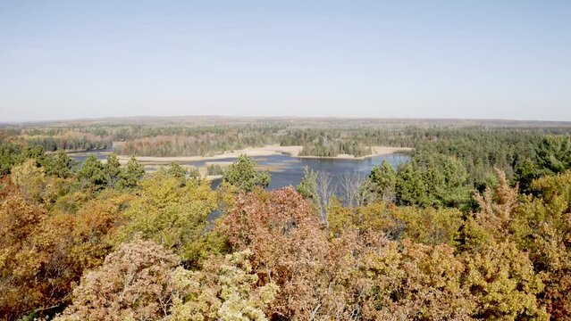 Au Sable River in Michigan during fall colors with drone video moving forward over trees.