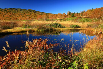 岩手県八幡平市　紅葉の安比高原