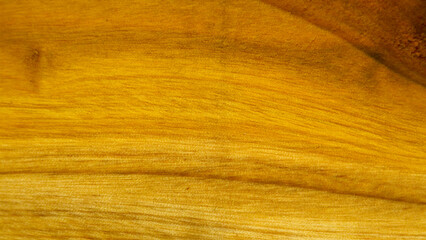 wood grain texture for background