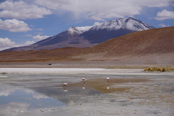 Bolivians mountains