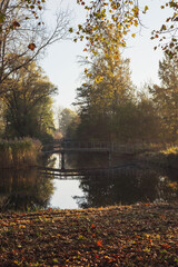 View of the wooden bridges over the canal in the autumn natural park in the early morning.