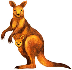 kangaroo animal art mom and baby family love hug wildlife watercolor painting illustration design drawing