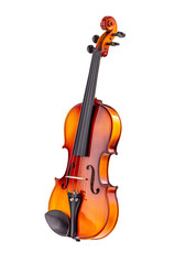 Classical violin - 546260749