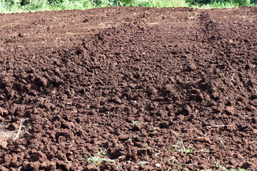 耕作した地面
