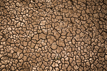 Naklejka premium Droughty earth with deep cracks, the soil after the water draining. Concept of ecology issues, global warming, and the water crisis.
