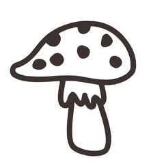 Autumn Amanita Mushroom