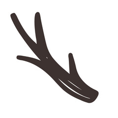 Obraz premium Autumn Autumn branches