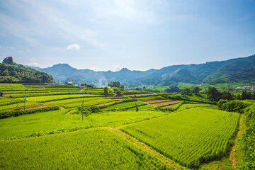 宮崎県高千穂町　棚田風景
