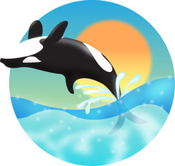 orca whale illustration jumping into the sea