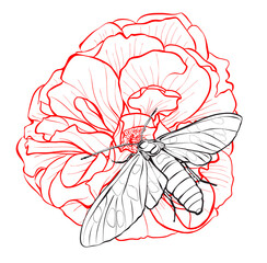 Rose flower with a moth. Illustration of a black and white coloring sketch. Linear style. Vector.