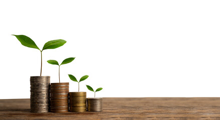 Money growing concept,Business success concept,Trees growing on pile of coins money ..Isolated background