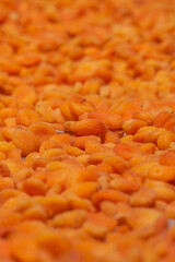 Dried apricot production in full frame view. Vegan foods concept