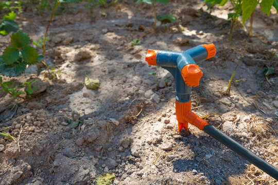 Three Arm Rotary Or Rotating Sprinkler In Focus. Gardening Tools