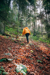 Man walking in the forest in autumn in a yellow jacket. Hiking concept.