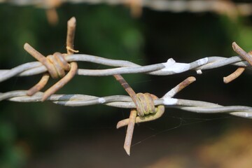 rusty barbed wire