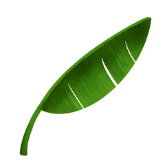 leaf watercolor element