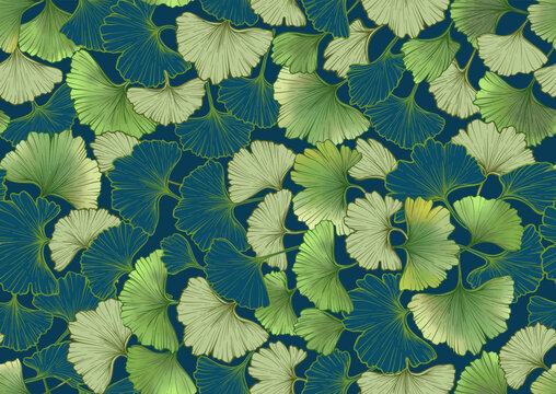 Ginkgo biloba leaves. Seamless pattern, background. Vector illustration. In botanical style