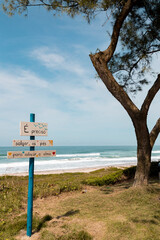 São Francisco do Sul, Santa Catarina, Brasil: placa de madeira com frase na praia brava