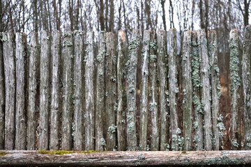 photo background old fence of wooden stakes