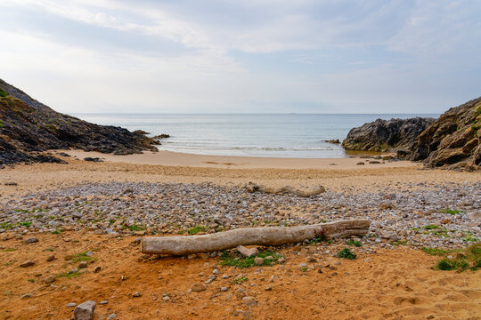 A driftwood seat to enjoy a tranquil morning on Pobbles beach