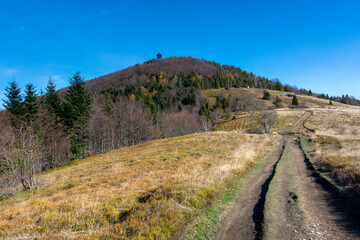 Mogielica ze Stumorgowej Polany - Beskid Wyspowy