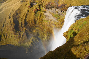 Fototapeta na wymiar Skogafoss Waterfall (60m drop and 25m wide), Iceland
