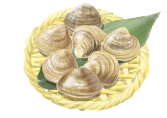 水彩のハマグリ01_2