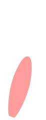 Fototapeta premium Rabbit Ear. Easter rabbit Ears.