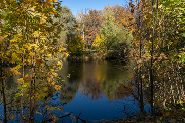 FOREST LAKE ON A SUNNY AUTUMN DAY