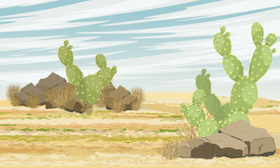 Opuntia cacti grow in the desert. Realistic vector landscape