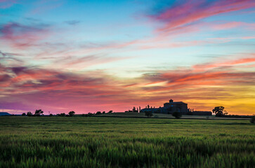 Naklejka na ściany i meble Sunset over the fields
