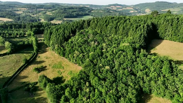 Burgundy, my little marvelous country