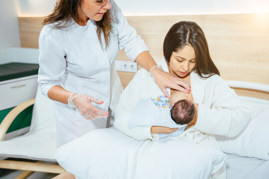 Female lactation consultant teaching new mother how to breastfeed newborn baby post natal department at hospital.