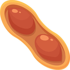 Double peanut icon cartoon vector. Butter caramel. Cream food