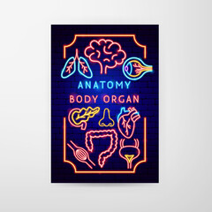 Anatomy Neon Flyer. Vector Illustration of Medical Human Health Objects.