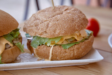 Healthy vegetarian food - burgers with vegetable cutlet, pickled cucumber and greens outdoor